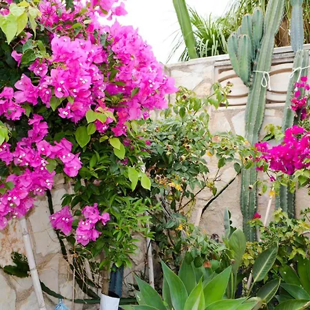 White Villa Near Amazing Beaches In Denia, Swimming Pool,Parking